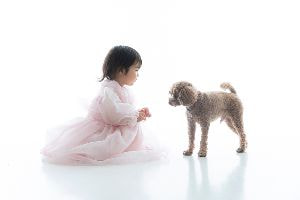 女の子と犬の写真
